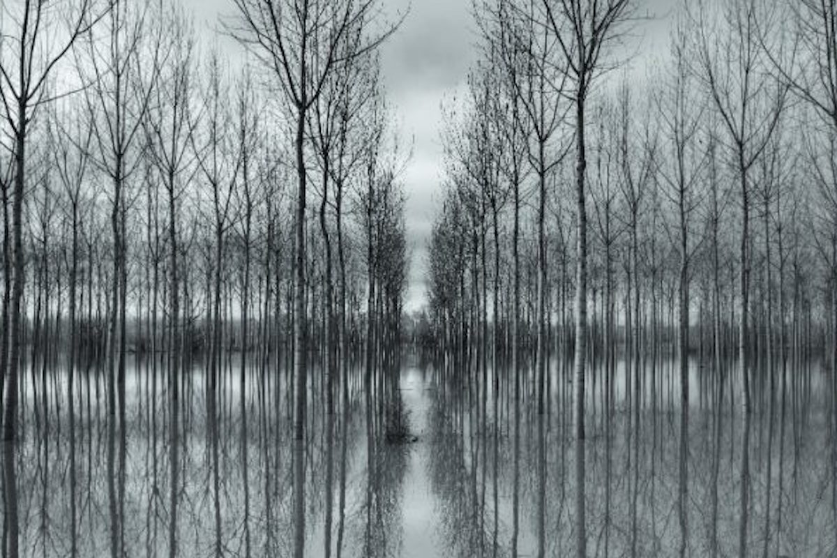 mostra-terre-del-po-belloni